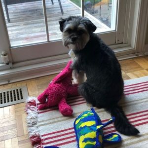 Meet your Posher, Kathy